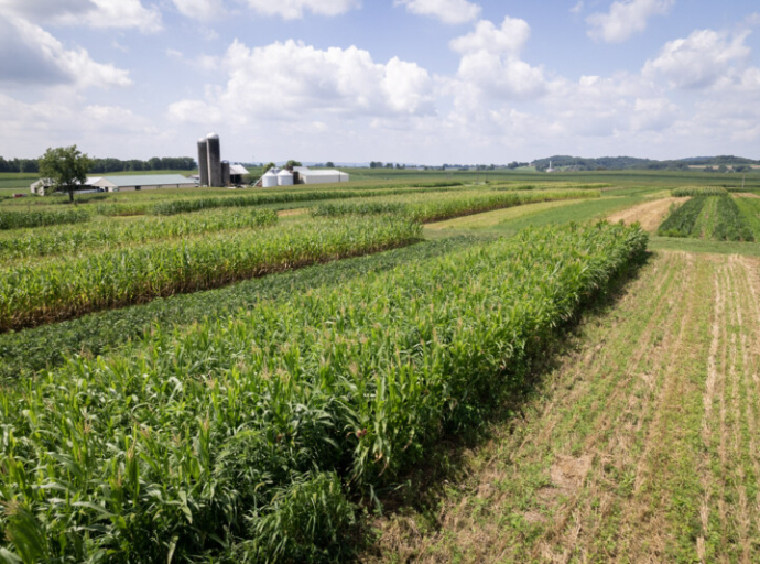 Agricultural sector boosts South Africa's GDP growth amidst economic uncertainty